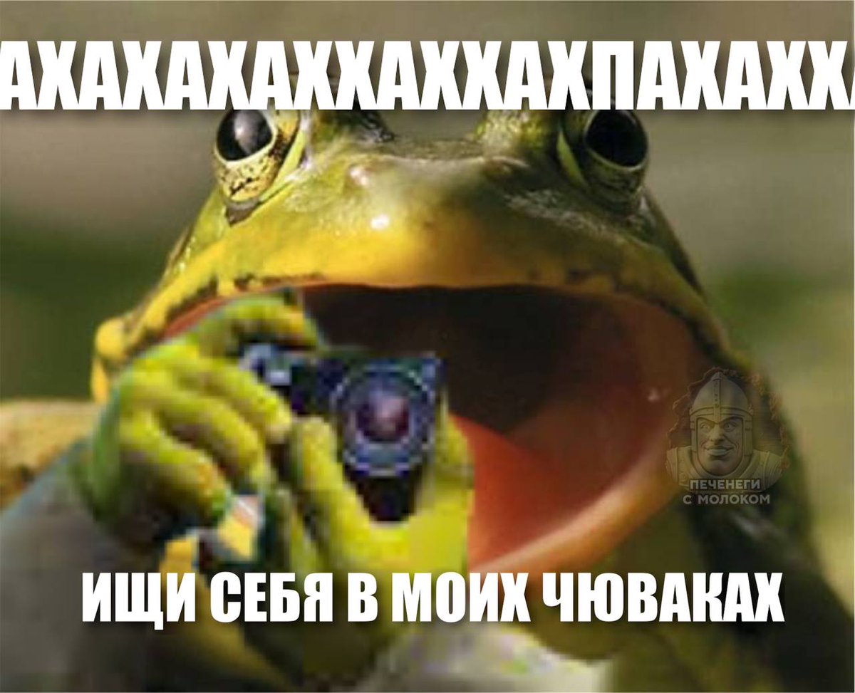 SkÍbi Dwapá / Arch-Pig743 on X: @RussianMemesLtd [Ahahahaha