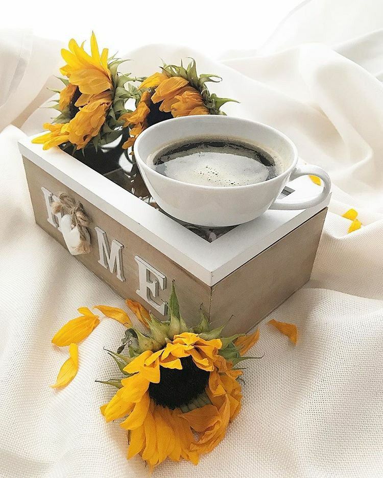 _*صوت أمي هو السلّم الوحيد الذي يمكن أن أتسلقهُ الآن إلى طابق الأمان العلوي ، اتصال واحد بها يعرجُ بي إلى سماء الطمأنينة ، أكوامٌ من الدعوات تخصّني بها ، لا أحسبني سأشقى بعدها..!فـ باسمك يا الله حصنتُ أُمي من ذبُول عيناها وحُزن قلبها.اللهم إني استودعتُك قلبها من كل ذرة ألم ❤️