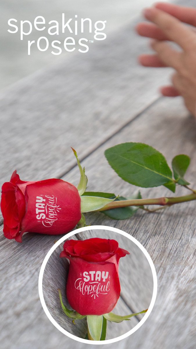 Speaking Roses Printer Food