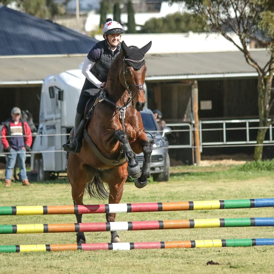 Jessica50159808's tweet photo. I have offially had this bloke 1 year! 😱
Throwback to our first freshmans @ Strathalbyn a couple months ago 💪🐎❤
#sittingbull #retiredracehorse https://t.co/h252K8jE7r
