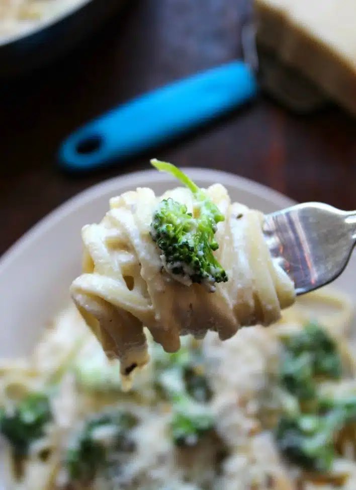 Every busy household should have a delicious go-to recipe for a quick, easy, tasty meal on the weeknight when they are hard-pressed for time. 

My easy go-to meal in our household is my Chicken and Broccoli Alfredo recipe.
See printable recipe->  themccallumsshamrockpatch.com/2017/02/02/chi…