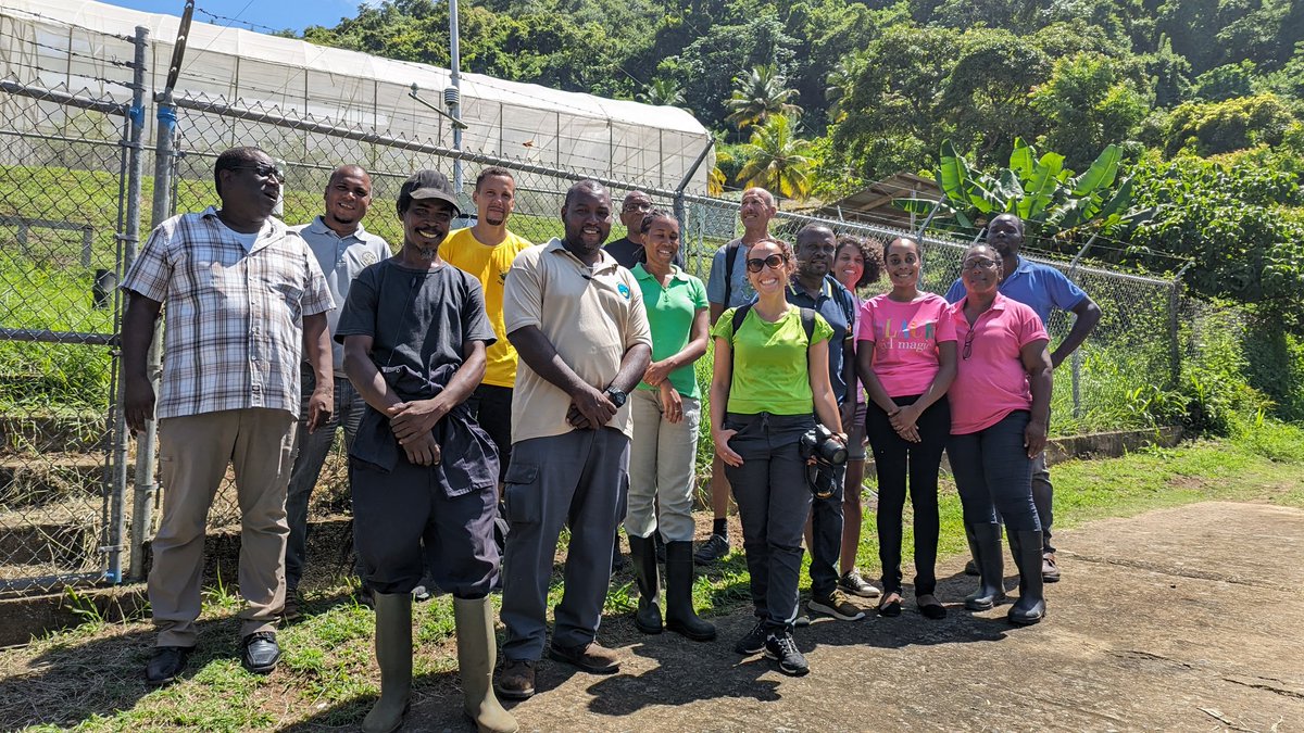 Another prospection mission for the Bio2d <a href="/InterregC/">INTERREG CARAIBES</a> project! Sharing and surveiling for citrus sustainability under HLB epidemic
-Seapag, MoA team of St Vincent and the Grenadines, and Assofwi teams. <a href="/AgapInstitut/">Agap Institut</a> <a href="/Cirad/">Cirad</a>