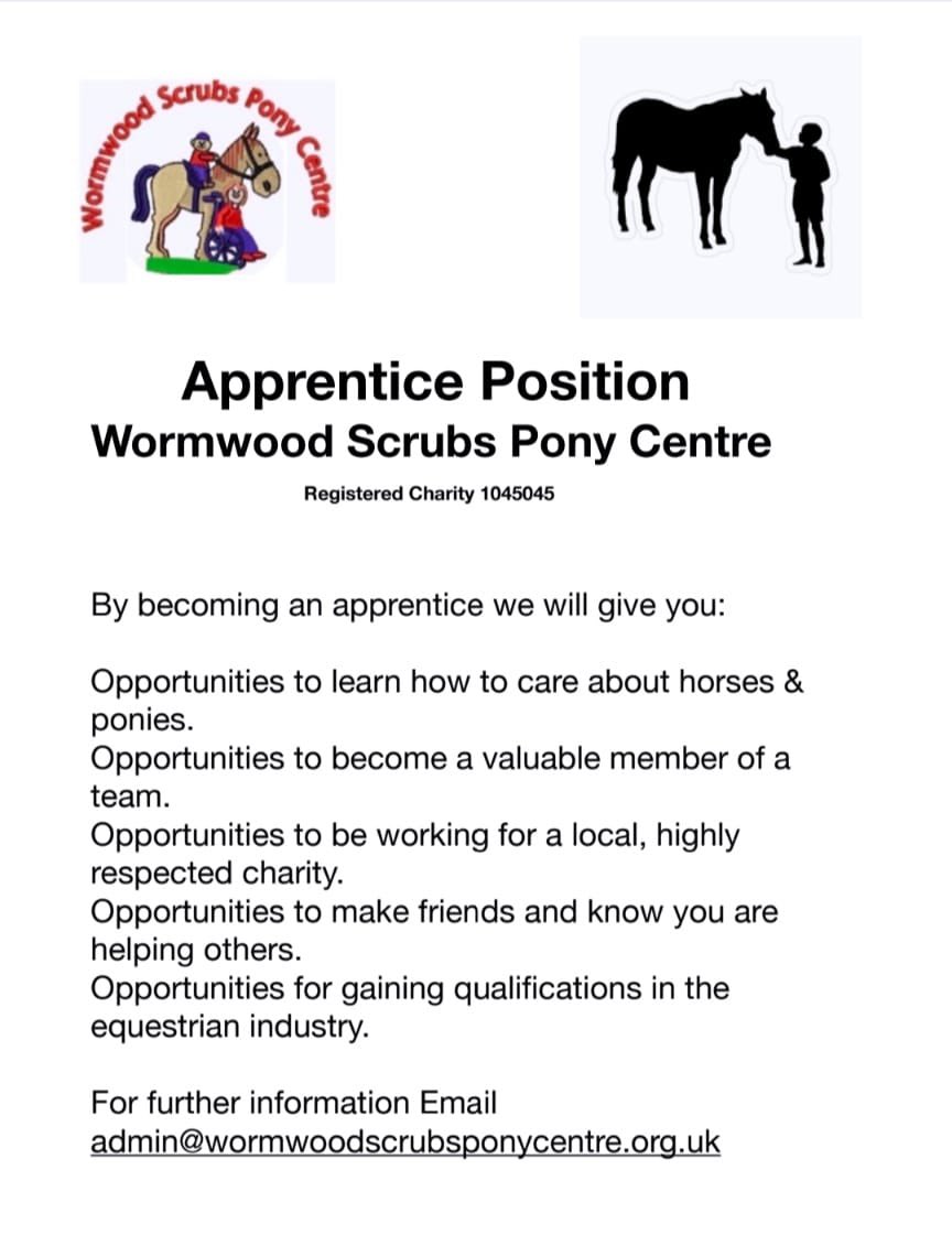 Wormwood Scrubs Pony Centre (@wsponycentre) on Twitter photo 