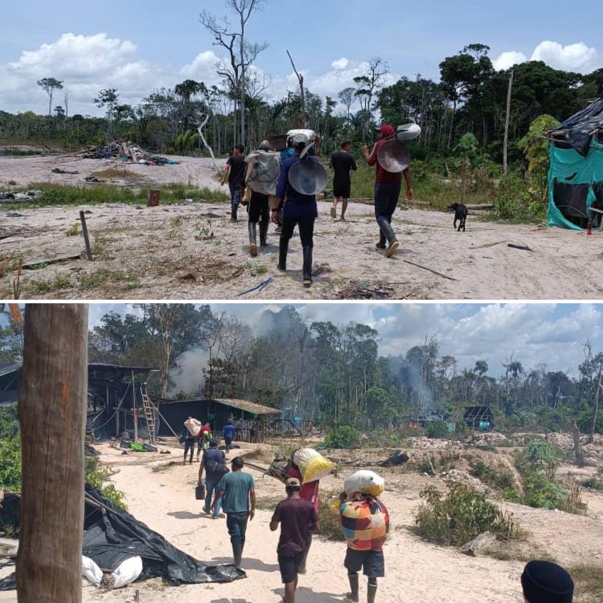 GJ. Domingo Hernández Lárez tweet media