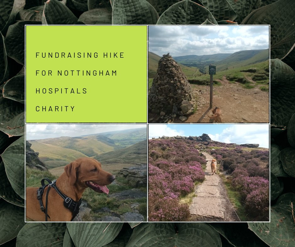 AKA_CM's tweet photo. Our team is excited to take on the challenge of hiking up Kinder Scout to raise funds for @NUHCharity  on Saturday, 23rd September. Join us in making a difference by donating, no matter how small. Every little bit counts! #fundraising  https://t.co/pPiUt8R9fi https://t.co/SvJdxbJQab