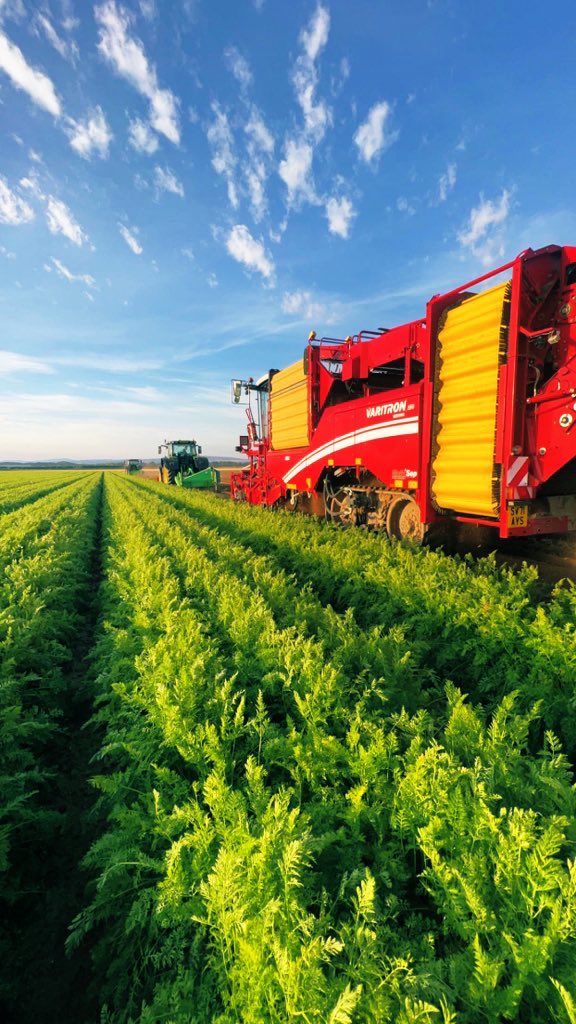 <a href="/GrimmeUK/">GRIMME UK Ltd</a> Varitron 270 harvesting Nairobi carrots 🥕 for a supermarket near you this morning in <a href="/MoraySpeyside/">Visit Moray Speyside</a>
<a href="/GRIMMEGroup/">GRIMME</a>
#CCPOWELL #supportfarmers
#BackBritishFarmers #Grimme #localvegetables