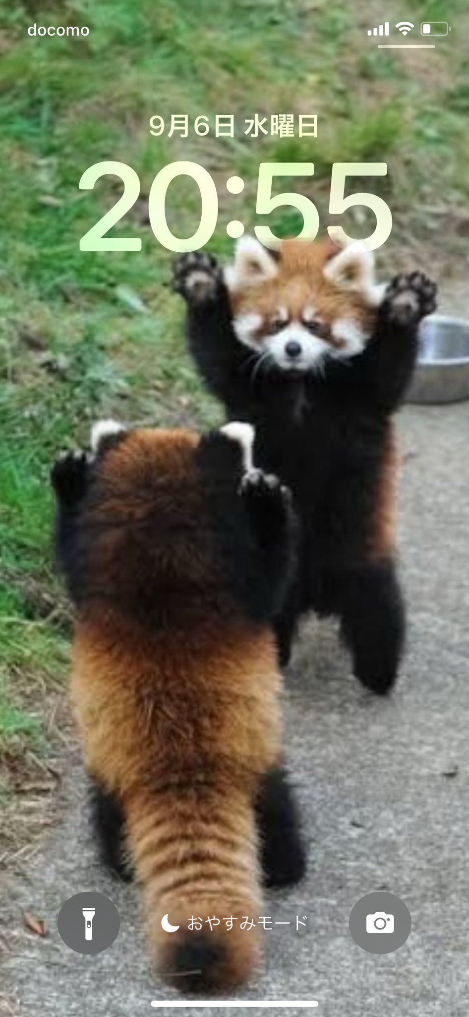 新品未開封 HYDE [INSIDE] レッサーパンダ クッション HYDE レッサーパンダ 新品未開封 HYDE [INSIDE] レッサーパンダ