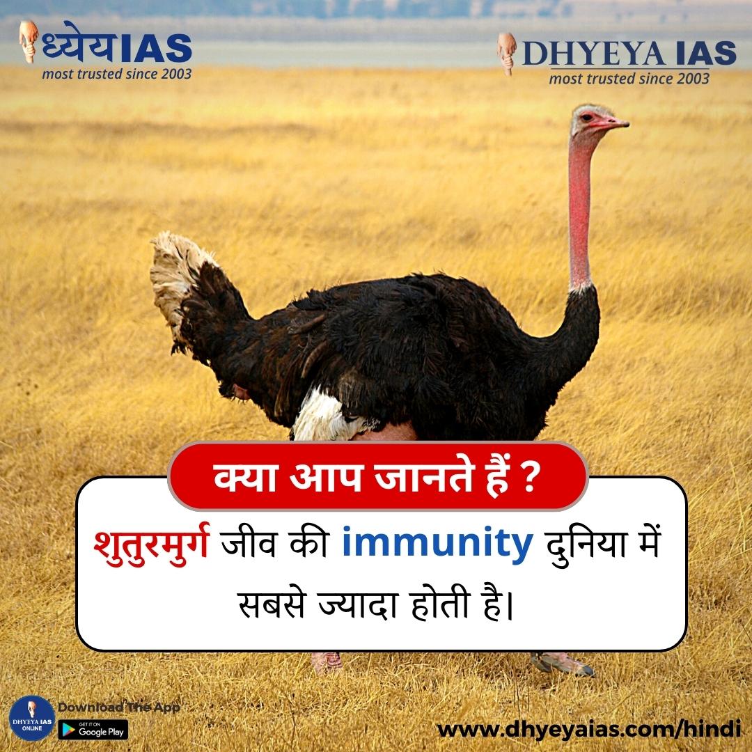 ऐसे ही और interesting facts के लिए follow Us.
#DidYouKnow #dhyeyaias #interestingfacts #ostrich #ostriches #ostrichfarm #immunity #immunitysupport #bird