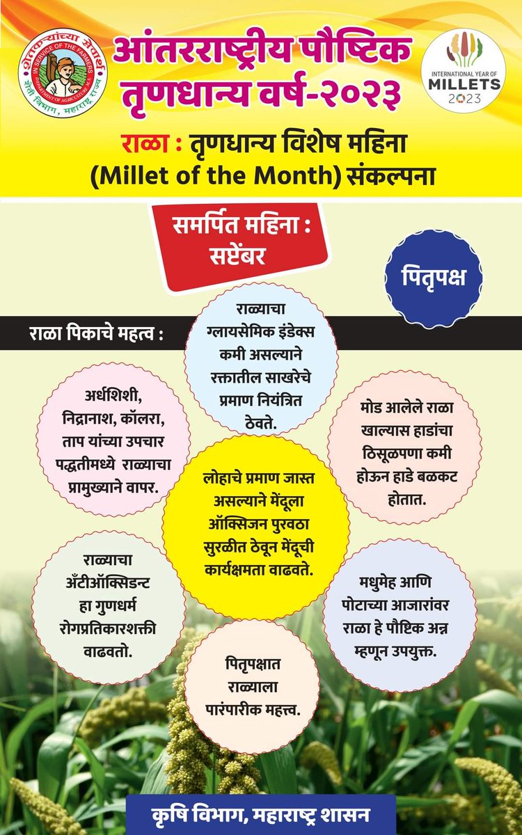 Maharashtra Millets Mission tweet media
