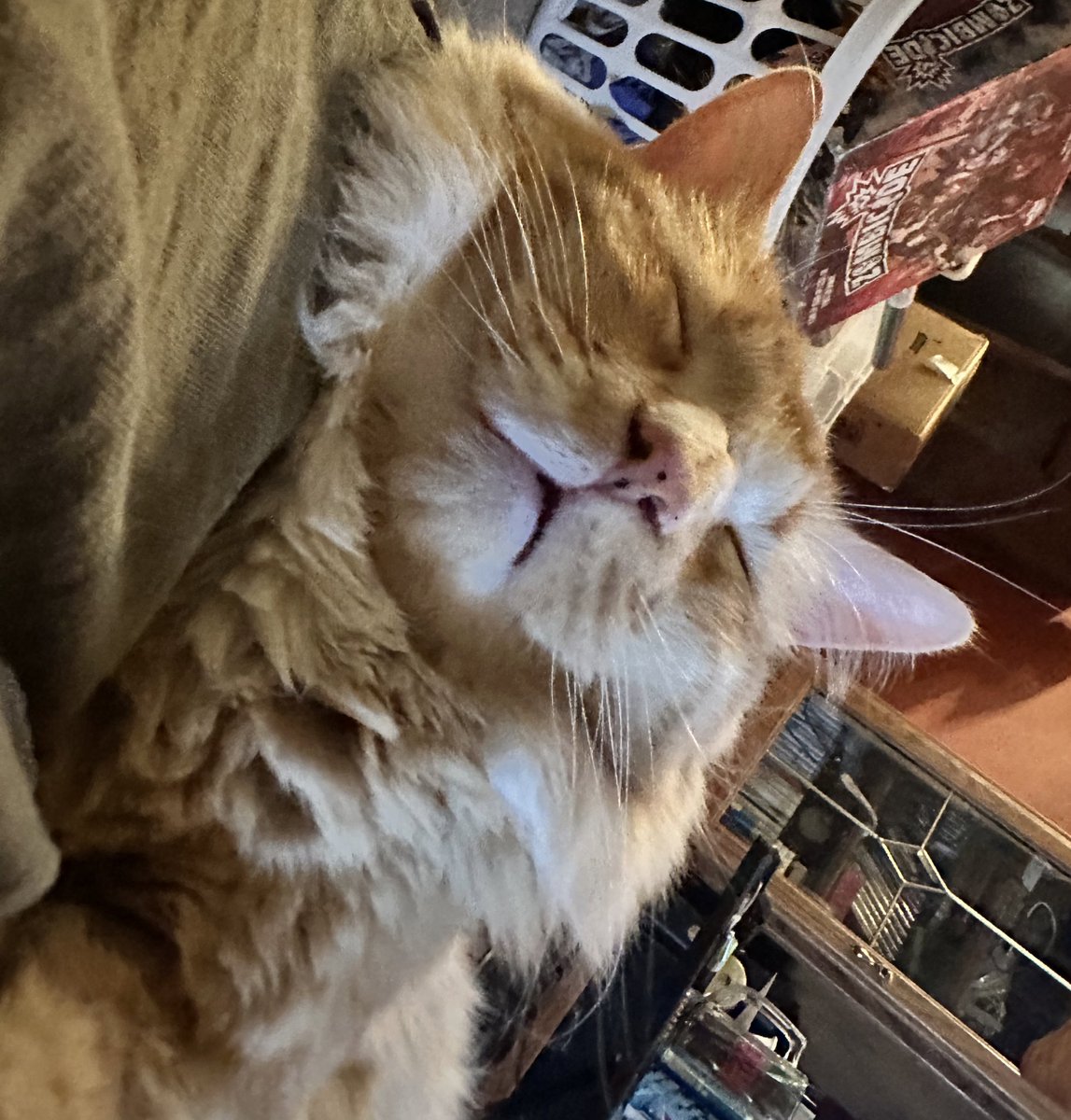 I need to be like this right now.