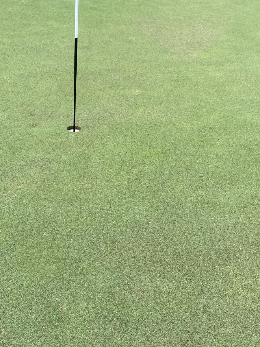 Got them all done just before the first rain shower rolled through. Almost perfect timing and results.