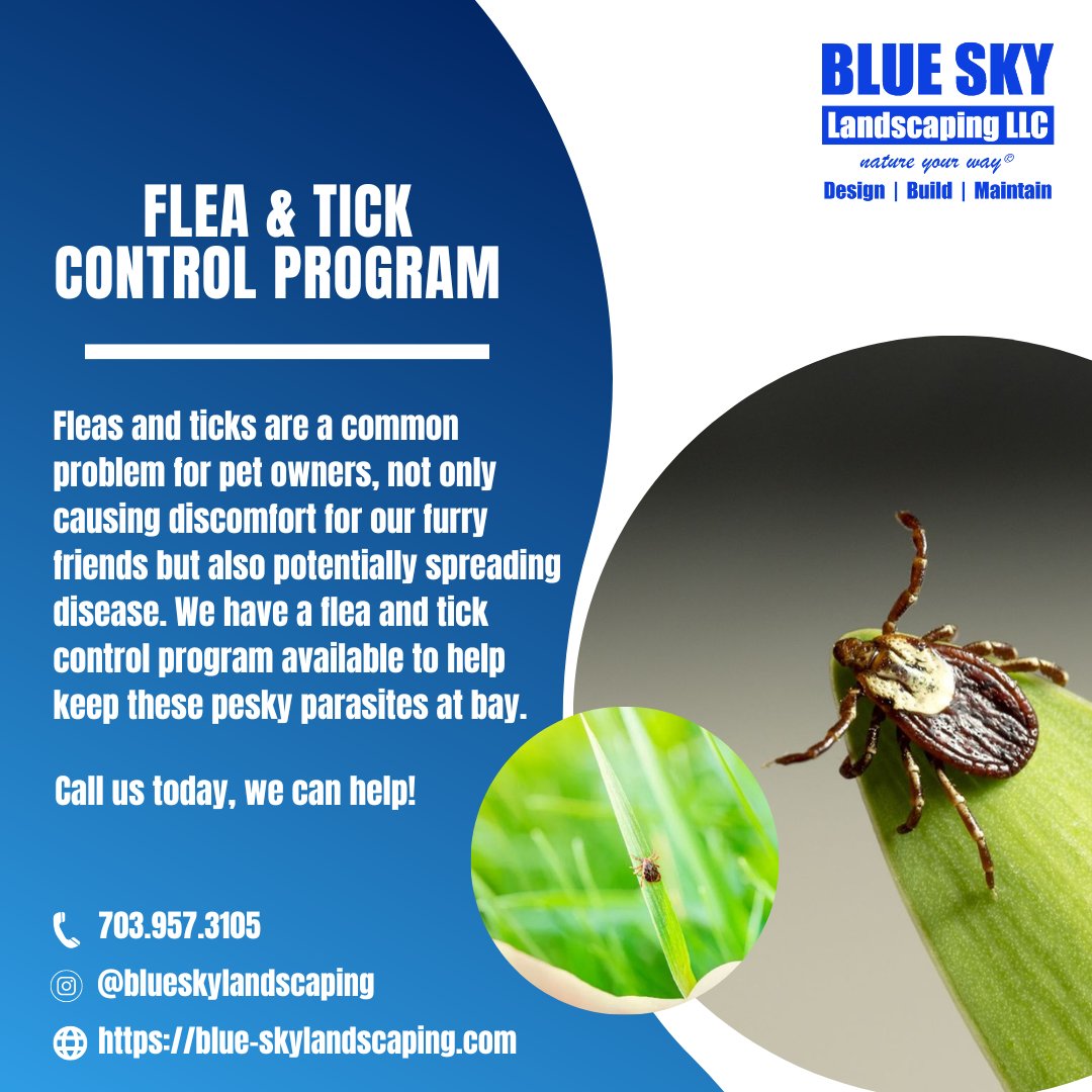 BlueSkyLScaping's tweet photo. Looking for an organic way to keep your pet safe from fleas and ticks? Blue Sky Landscaping’s Organic Flea and Tick Control Program is the perfect solution!
https://t.co/3CbBaTJTMb
#ticks #fleas #lymedisease #tickseason #outsideisfunagain https://t.co/9MOi7gzpkP