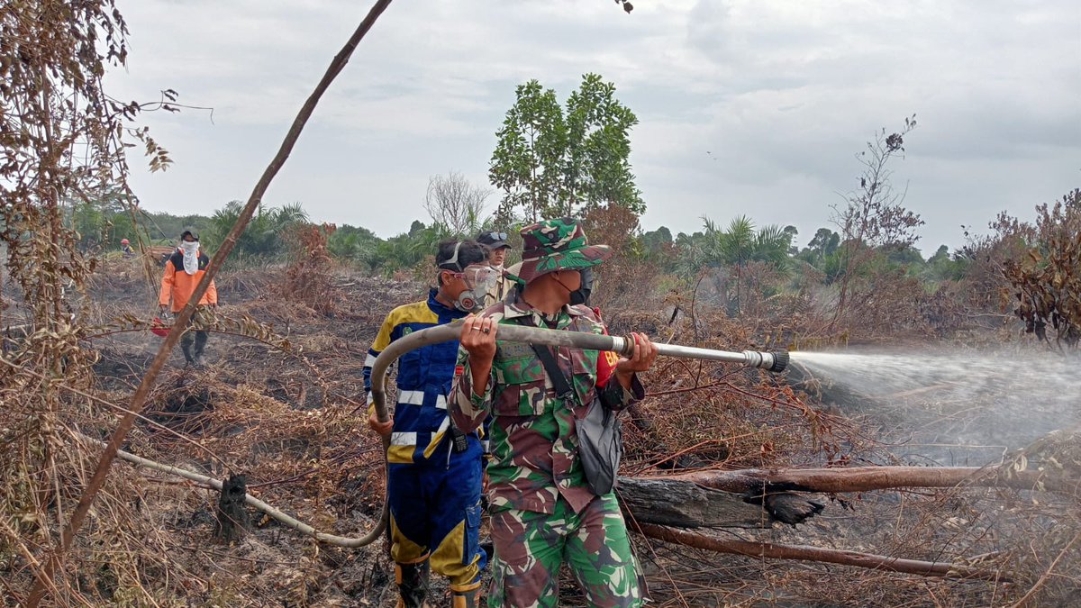 Gunung Palung Orangutan Conservation Program tweet media