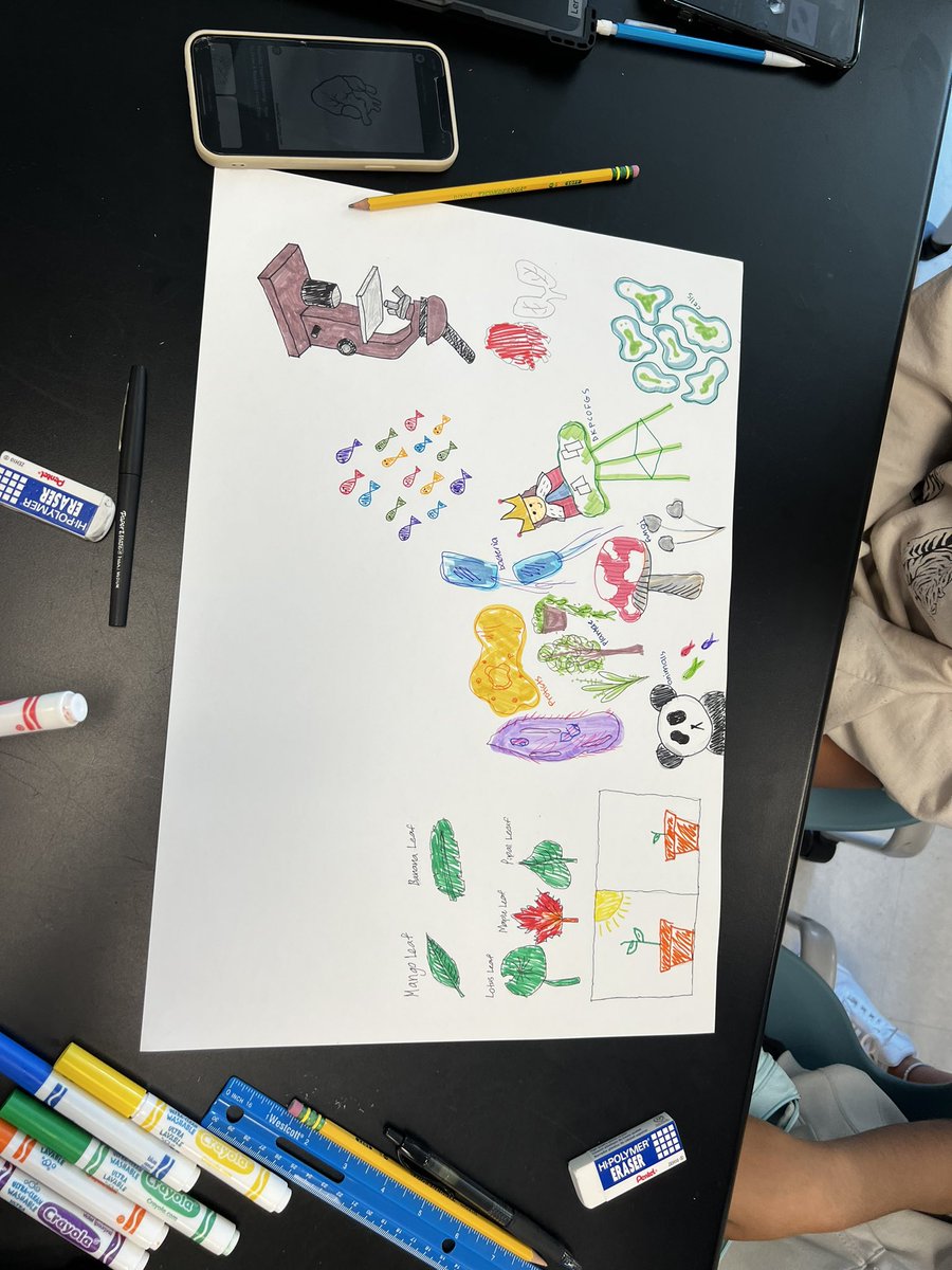 CianaPaye's tweet photo. More honors biology review posters! 🧫 🧪 #biology #ScienceEd @GreenLevelHigh https://t.co/LgB1bt5XoL