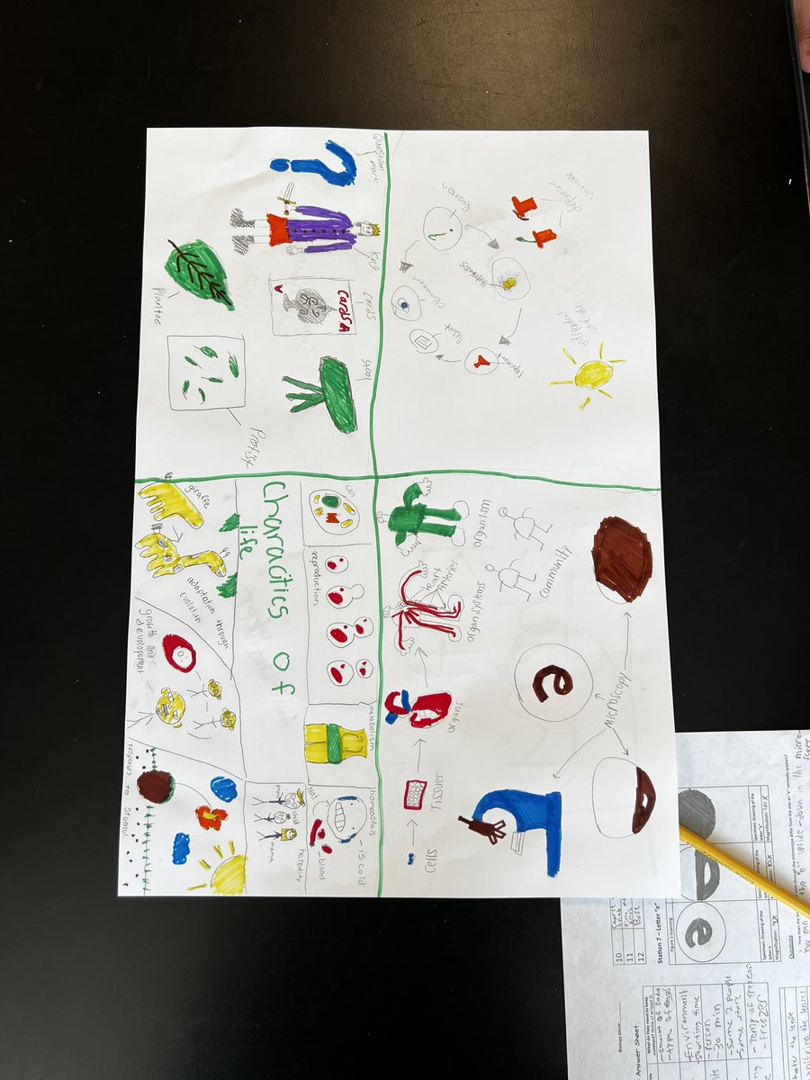CianaPaye's tweet photo. More honors biology review posters! 🧫 🧪 #biology #ScienceEd @GreenLevelHigh https://t.co/LgB1bt5XoL