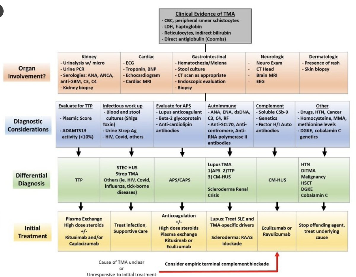 FSGS, MPGN, and TMA (among others) are finally recognized as a pattern of injury as opposed to a specific disease. For TMA this figure says it all