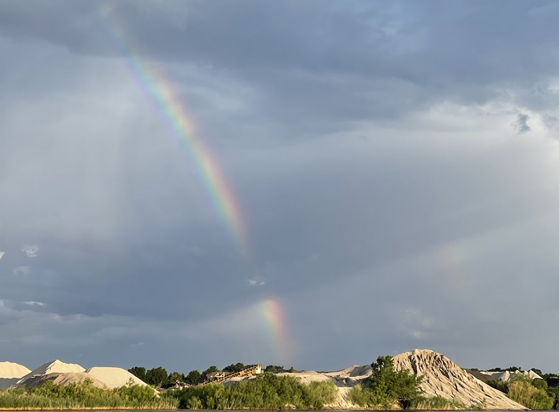 A key part of a strong #CorporateConservation program is the ability to learn from and adapt to nature. Find out how #WHCMember <a href="/summitmaterial/">Summit Materials</a> learned from nature to transform a sand mine into a thriving wildlife habitat at the <a href="/cornejoandsons/">Cornejo & Sons</a> site: bit.ly/45ZUtyG