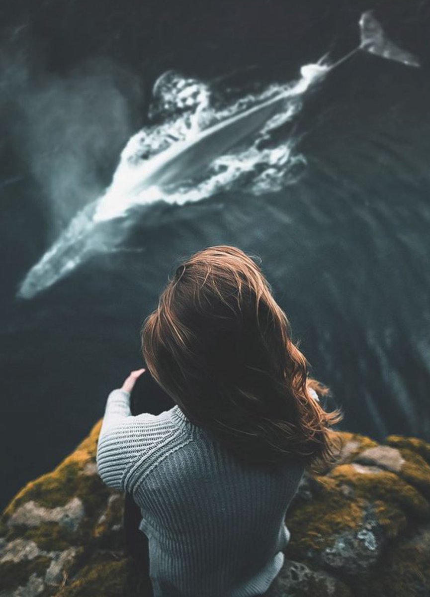 الأشخاص الذين يتحولون فجأه إلى أعداء؛ كانوا حاقدين منذ البداية ولكنهم بارعين في التمثيل والنفاق
<a href="/Ma16_A_1/">‏ ‏ ‏ڛۣــحۡــٰٱ̍بــہ ̨؏ــٰٱ̍بــڔه</a>