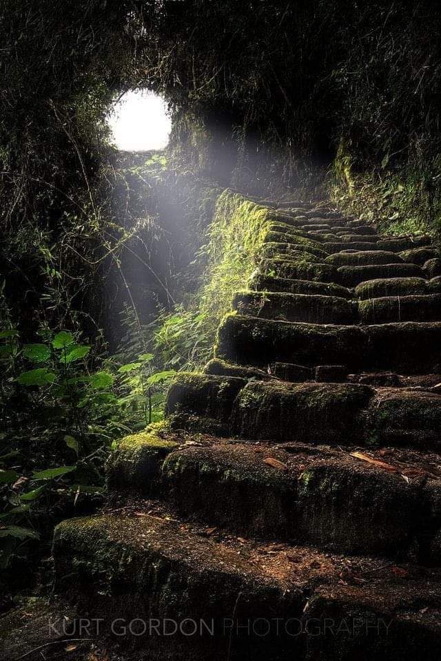 historydefined's tweet photo. Stairway to Heaven, the ancient Inca Trail leading to Machu Picchu, Peru. Photo: Kurt Gordon https://t.co/q7xlHr50zq