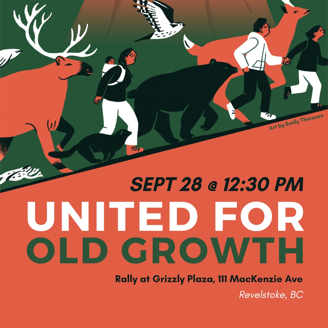 Communities from across the province are coming together for our last remaining old growth! Will you join us in Nelson or Revelstoke for this day of action on Sept 28? 

#UnitedForOldGrowth #ProtectOldGrowth #OldGrowthBC #Revelstoke #Nelson