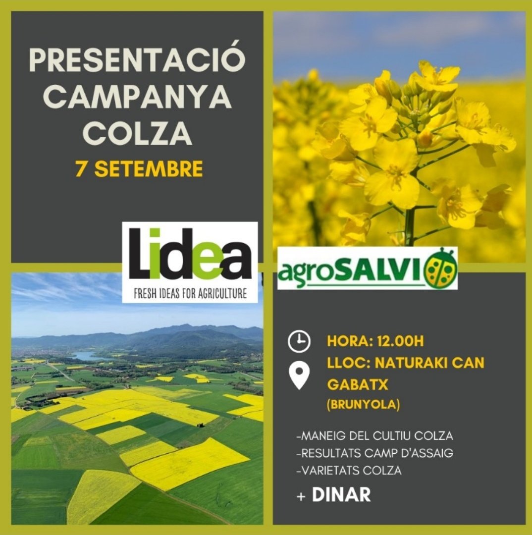 AGROSALVI's tweet photo. Demà és el dia, el que per nosaltres significa: l'inici de l'any agrícola en Cultius #Extensius !!!🚜🚜🚜🚜
Com cada any, i ja en van essent molts, Jornada Campanya COLZA 2023!!!
Esperem que sigui un any de profit i guanys, que ja ens ho mereixem tots!!! https://t.co/MlZMIlWgI6
