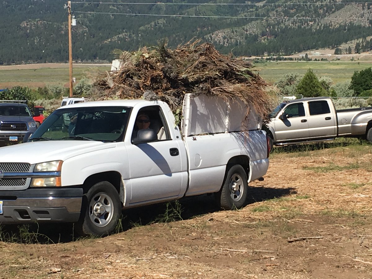 TMFPD's tweet image. Truckee Meadows Fire &amp;amp; Rescue announces Autumn 2023 Green Waste Collection Days. Create defensible space today.  Schedule and Locations here: bit.ly/3R4DTtw
#defensiblespace #greenwasterecycling #FireSafetyTips @NevadaForestry