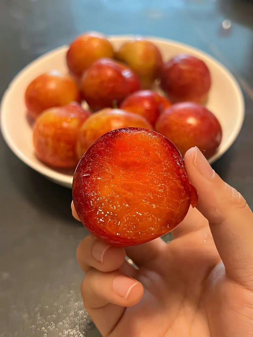 equ1536's tweet photo. Plumcots is My favorite, Reduce some hunger
#Plumcots #redlies #RedSox #RedWednesday #RedBullCheats #Redstone #RedVelvet #RedoineFaid 
yummy https://t.co/9AFc12Bqfc