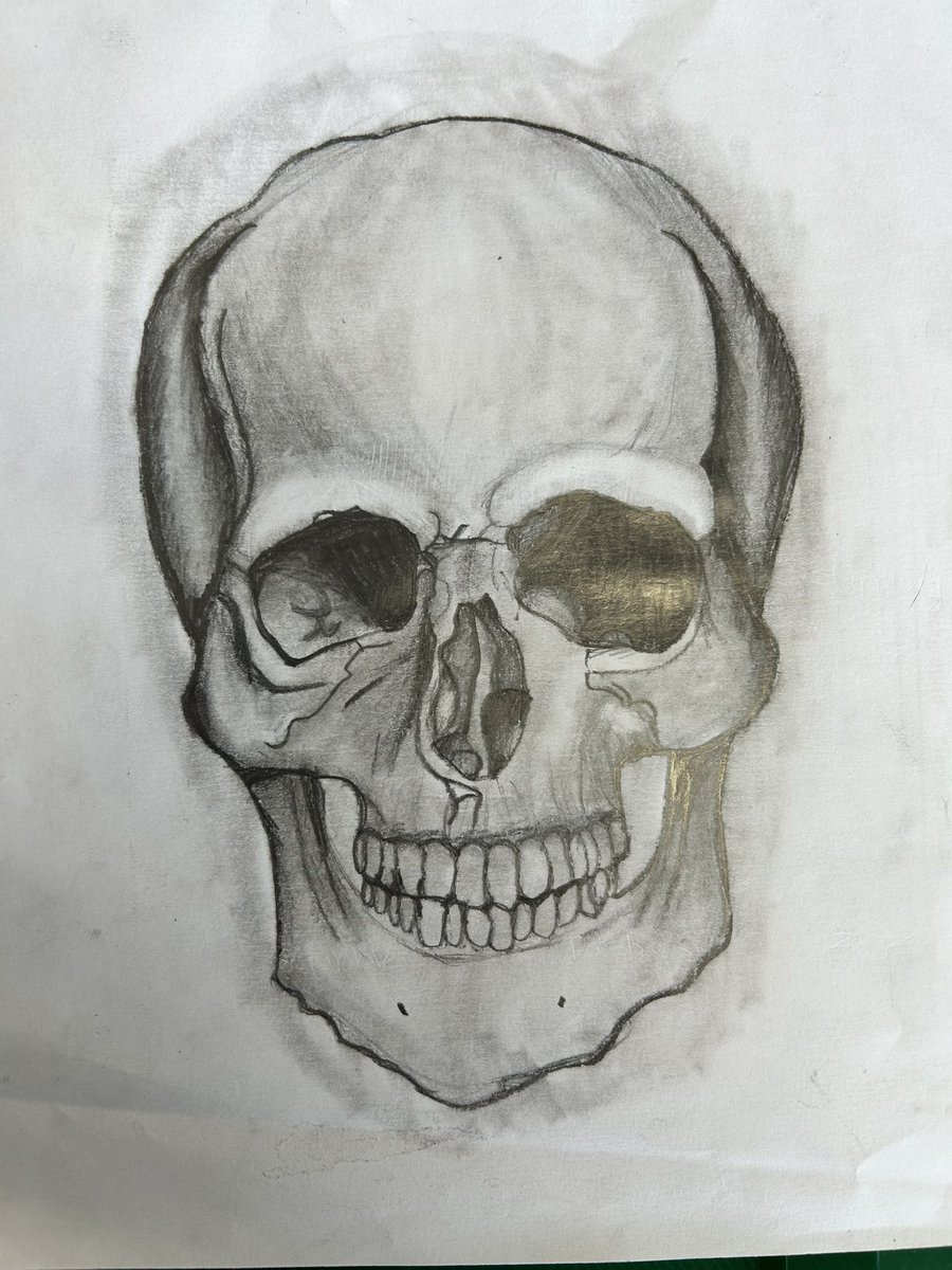 MissIgnateArt's tweet image. I will be trying to share a piece of work by a student who really impressed me that week! First Work of the Week goes to Alfie for this stunning skull drawing! Well done, Alfie! #WorkOfTheWeek