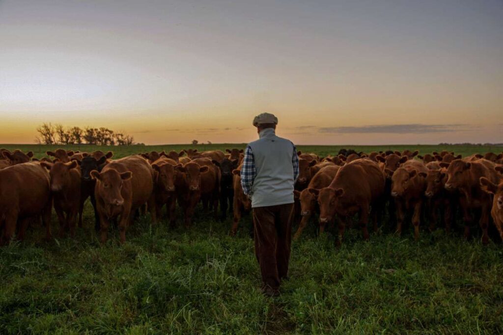 Orgánico y agroecológico comparten el no uso de agrotóxicos. El destino de la producción las diferencia. El 98,7% de los orgánicos se exportan, mientras que la agricultura campesina, sujeto de la agroecología, abastece las mesas argentinas.
➡️bit.ly/3sLhzuP