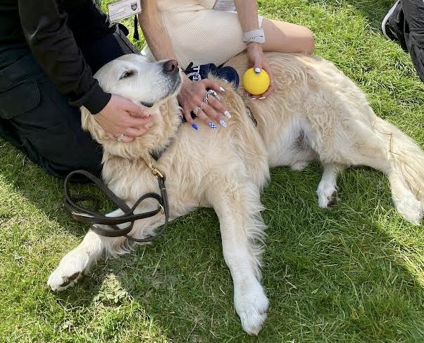 OscarKilo9 tweet media