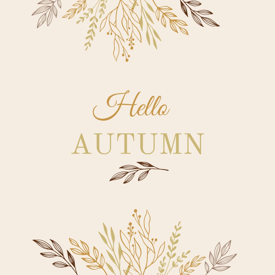 tableinabox's tweet photo. #Autumn is here! Check out our new collection: https://t.co/qF6tROSAv0 https://t.co/CD25Ev1Ta5
