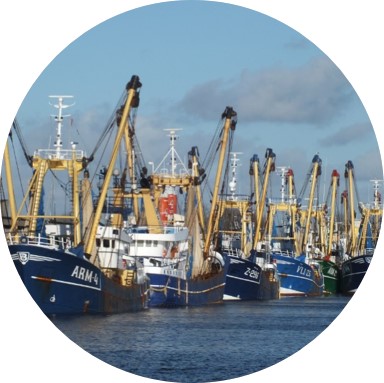 Marloes Kraan (@marloeskraan) on Twitter photo Kom je bij ons <a href="/WUReconomic/">WUR Economic</a> werken om de data over de #visserij op peil te houden & te helpen te interpreteren op basis van je #kennis van de sector? #duurzaamheid #financiele #gegevens #BIN
wur.nl/nl/vacature/fi… Kom je bij ons <a href="/WUReconomic/">WUR Economic</a> werken om de data over de #visserij op peil te houden & te helpen te interpreteren op basis van je #kennis van de sector? #duurzaamheid #financiele #gegevens #BIN
wur.nl/nl/vacature/fi…