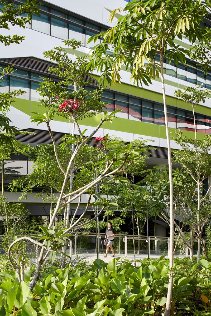UNStudio_Arch's tweet image. The design of SUTD responds to the natural landscape of Singapore, both through colour application and the incorporation of facade planters, green roof terraces and sky gardens. Project: shorturl.at/gtABK 

Photos: Hufton + Crow

#unstudio #architecture #sustainabledesign