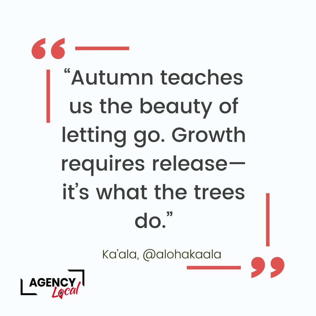 “Autumn teaches us the beauty of letting go. Growth requires release—it’s what the trees do.” -Ka’ala, @alohakaala What do you need to let go of, to progress your agency business? #member #community #digitalagency #agencyowners #growth