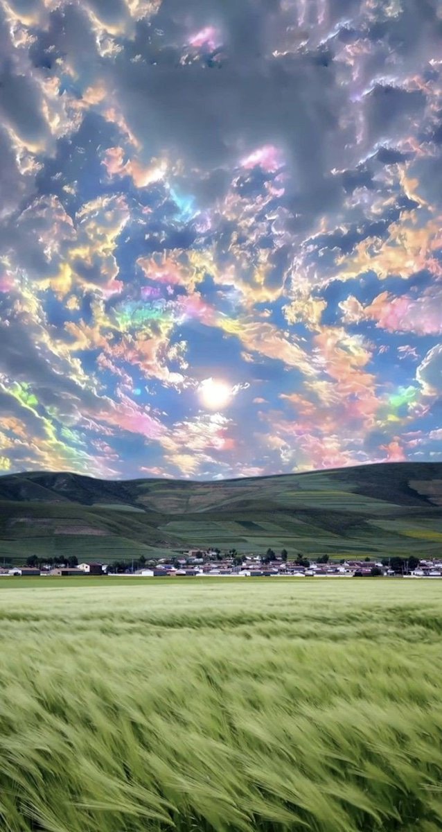 와, 이 구름 봐...
tumblr.com/gulistan-blog/…