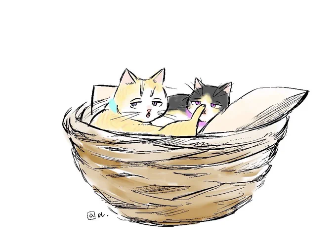 【猫灰谷注意】今日の猫カフェのにゃんこ達がね!本当に灰谷にゃんにしか見えなかったのよ! 