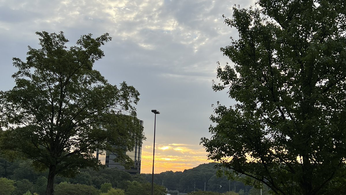 atlsat's tweet photo. Morning observations #AtlantaGa #Atlanta #AtlWx #GaWx #HumpDayYeah https://t.co/YFZoEKokk4