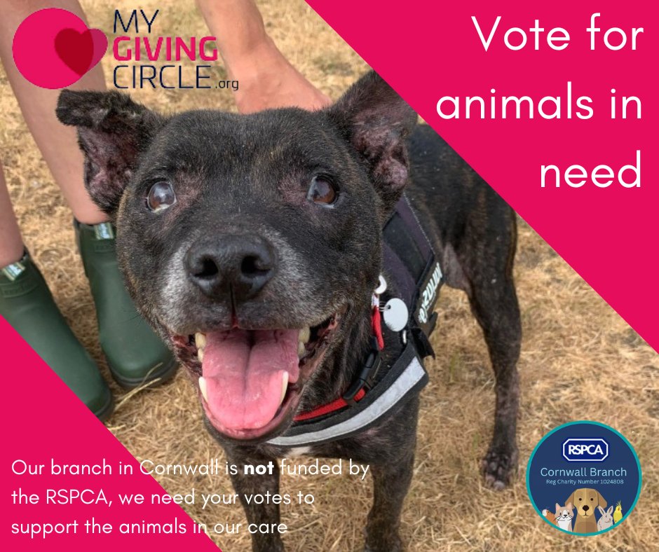Vote for our rehoming centre to win a share of £300,000 from @MyGivingCircle ❤ Our branch in Cornwall is not funded by the RSPCA, a share of this funding could change the lives of countless animals in need 🐶🐰🐱 Every vote counts: mygivingcircle.org/rspca-cornwall…
