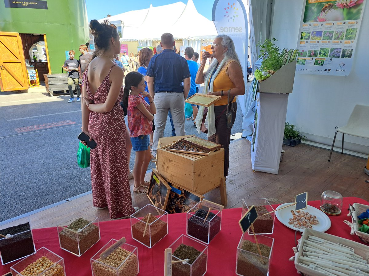 Pour 85% des espèces la politisation est assurée par les #insectes. Découverte de la #ruche et des #abeilles sur le stand de la filière #semences <a href="/semaeEst/">Semae Est</a> lors de la <a href="/foiredechalons/">Foire de Châlons</a>. #ceuxquifontlessemences <a href="/LaFNAMS/">FNAMS</a> <a href="/BarenbrugGroup/">Barenbrug</a> <a href="/Coopceresia/">Cérèsia</a> @vivescia