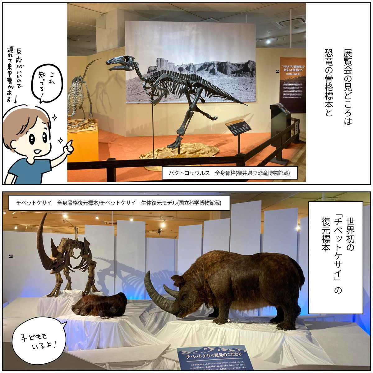 展覧会レポ漫画
化石ハンター展
ATCギャラリー(大阪)
⚠️9/24まで
化石ハンターたちの発掘調査を追体験するような展示です。
会場の外にも子どもが楽しめる乗り物やゲームがあるので、恐竜好きのお子さんはすごく楽しめると思う!
