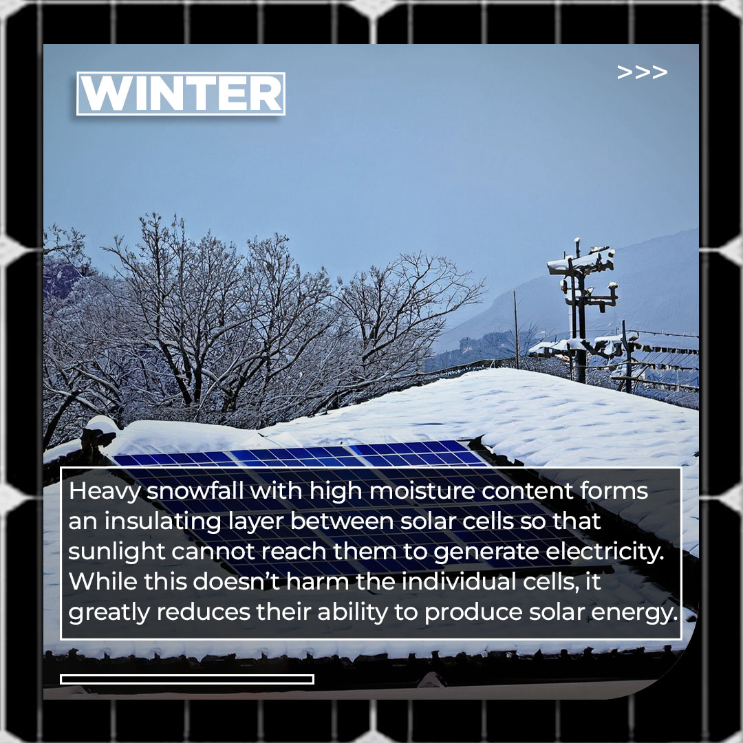 SamaritanSolar's tweet photo. ☀️ Seasons Change, but Solar Power Stays! 🌿❄️
Ready to make the switch? 🌍💡

For a free consultation and solar audit 🌐 https://t.co/1T9V3gobCN

#Samaritansolar #Sustainability #RenewableEnergy #savemoney #solarenergy #SolarPanel #solarpower #USA #WednesdayMotivation https://t.co/FdUQyMoyHq
