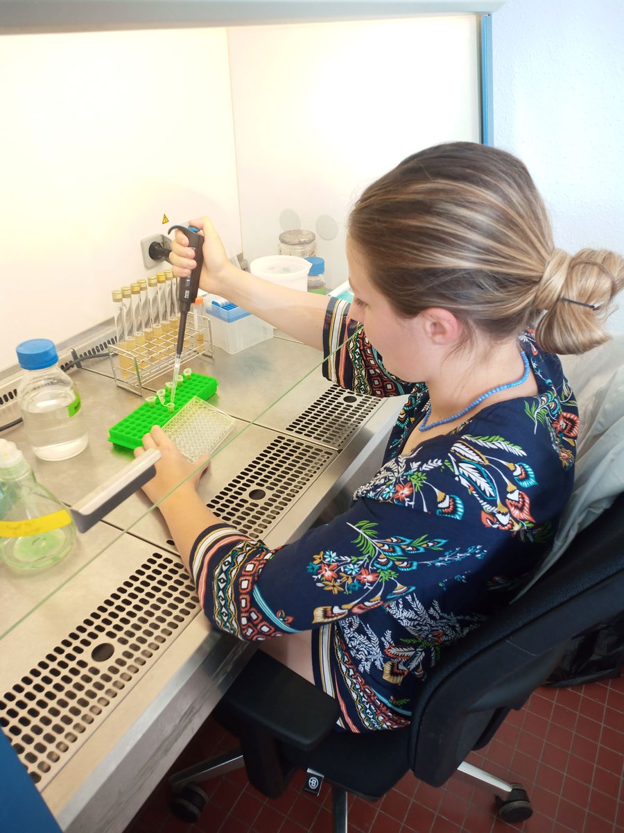 leo_viridis's tweet photo. Leo is back in business 🦁! Welcome to Marie Leneveu who join the team as assistant ingineer (for now 📷)! Excuse her for the absence of lab coat, it's 35°C in the lab right now ! https://t.co/0p4DzTP2XN