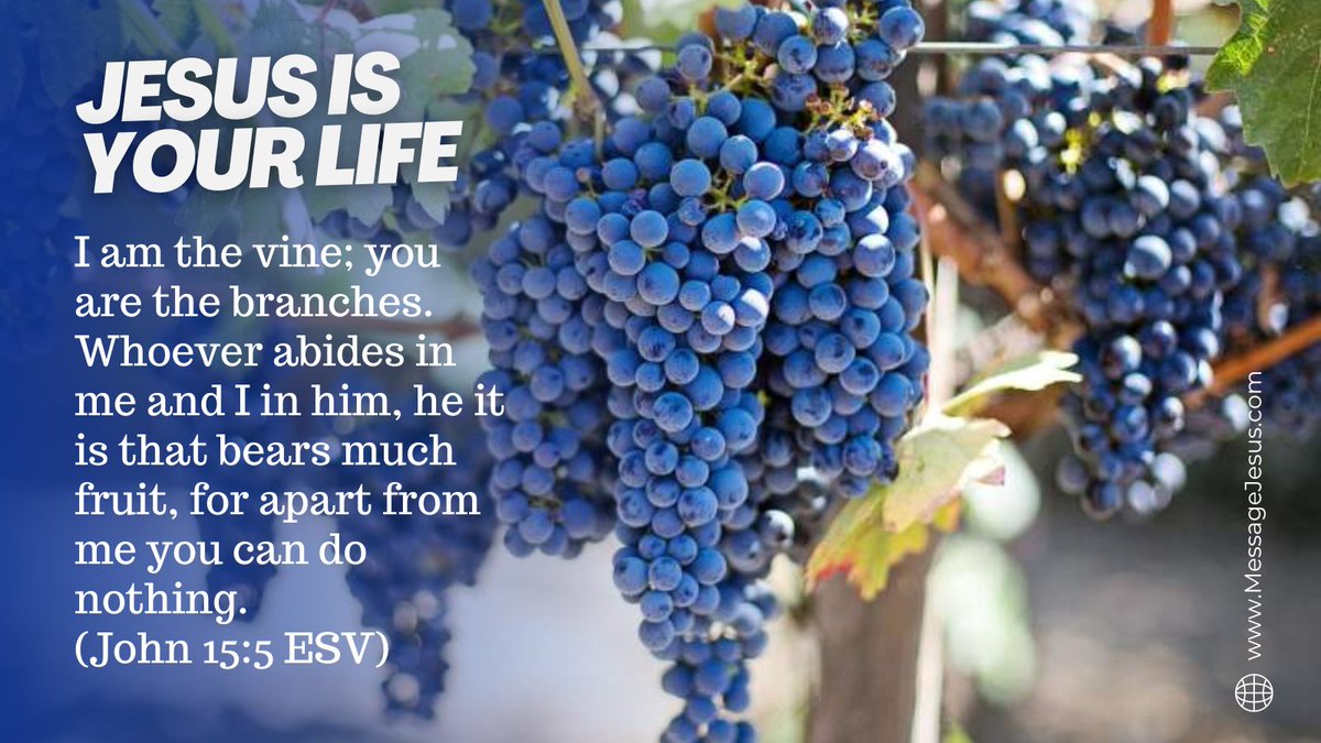 TheMessageJesus's tweet photo. Some Christians feel weak and pray for strength, power, wisdom, and encouragement.

But Jesus doesn't just give you life. No, he himself IS your life, when you belong to him. He is your peace, righteousness and only hope.

#Jesus #JesusOurLife #JesusChrist https://t.co/dg06CYzvWT