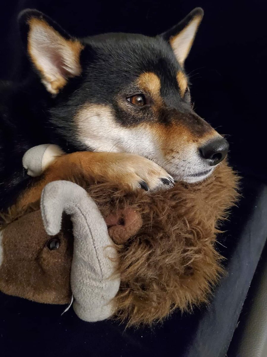 Jonathan_Blouin tweet media