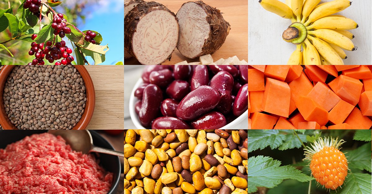 NationalCACFP's tweet photo. The Food Buying Guide has added nine new foods, including traditional Indigenous foods! Read more about what they are and how to use them in your #CACFPCreditable recipes on our blog: https://t.co/FgefTeO5gv https://t.co/iwRv3As31U