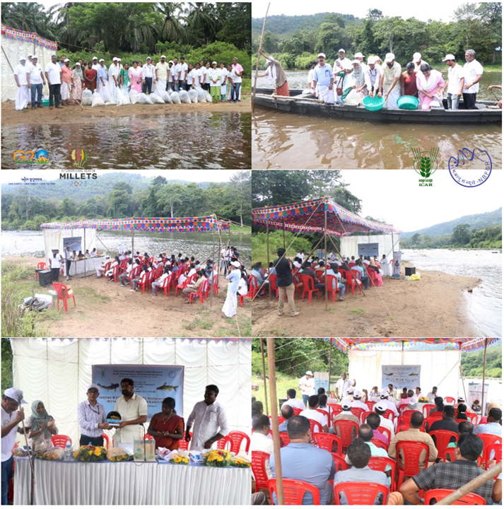 ICAR_NBFGR_LKO's tweet photo. @ICAR_NBFGR_LKO marks a significant milestone in ongoing efforts to safeguard India's diverse aquatic biodiversity through the ranching of conservation-prioritised fishes under the guidance of Dr. UK Sarkar, Director, #NBFGR.
#PAGR @icarindia @FisheriesGoI @PIB_MoFAHD  @WWFINDIA https://t.co/r3smygDP9s