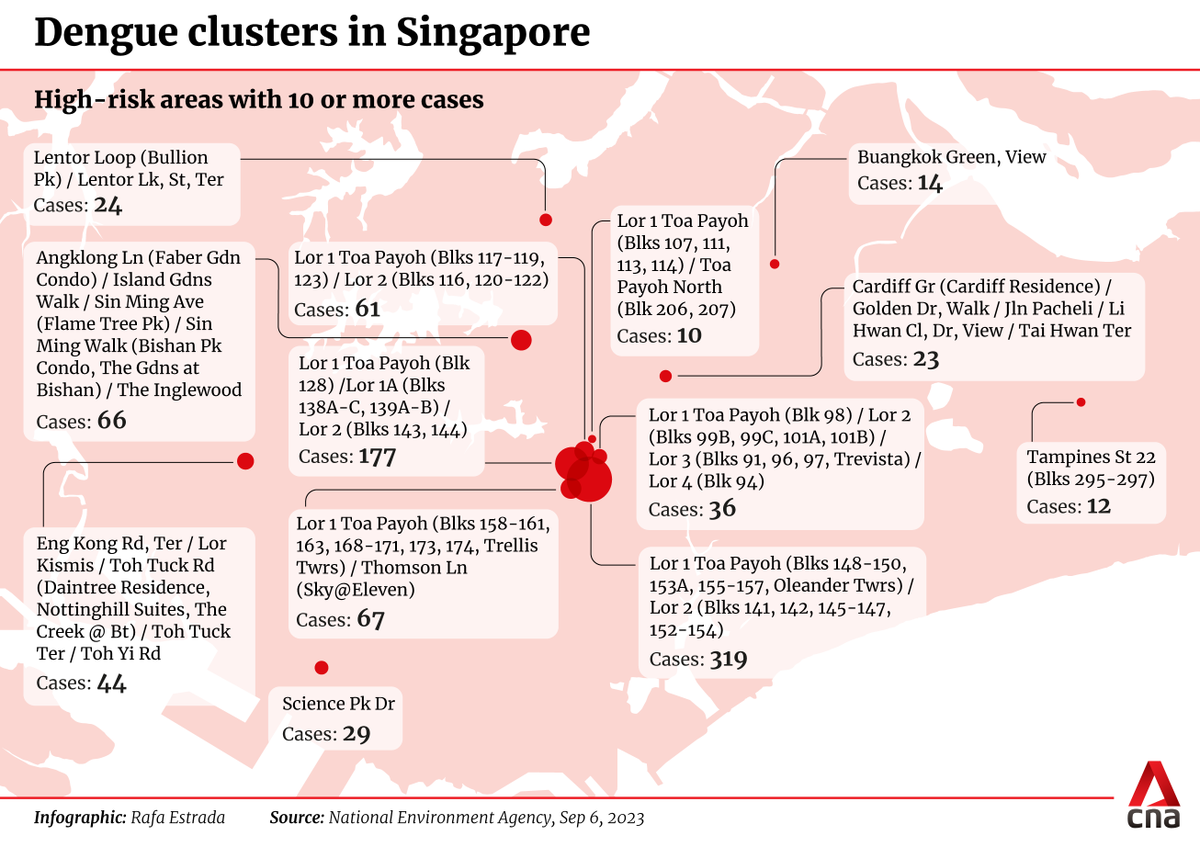 ChannelNewsAsia's tweet photo. Singapore is at risk of a surge in dengue cases, says @NEAsg. Here are some of the largest and most persistent infection clusters. https://t.co/o0Cej4MX3W https://t.co/N0r5Etwg1W