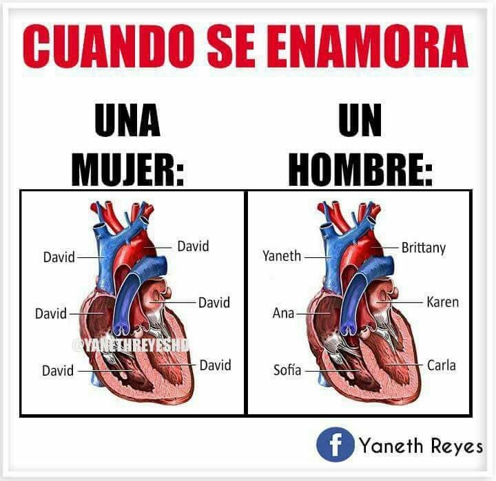 Cova1902's tweet photo. Literal!! 😂😂😂😂 https://t.co/U9b5dxxLBl