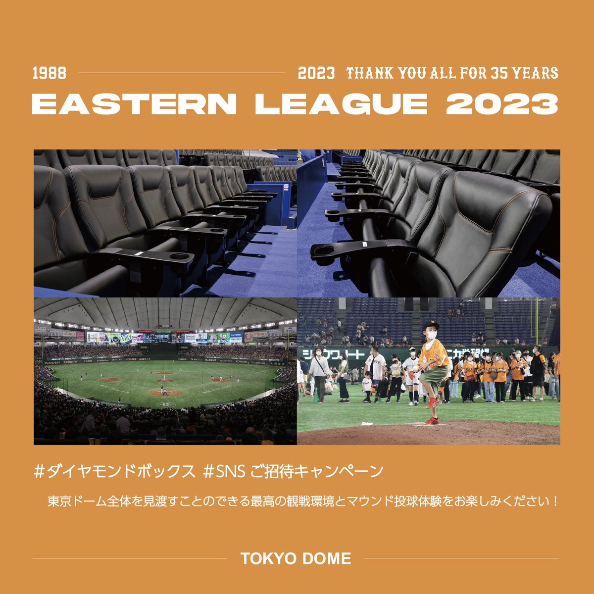 TOKYO DOME|東京ドーム tweet media