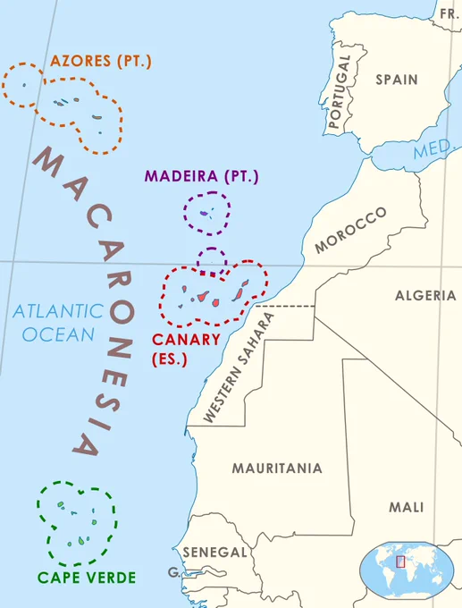 cant believe macaronesia is a real island region on earth and not some macaroni themed archipelago in one piece 